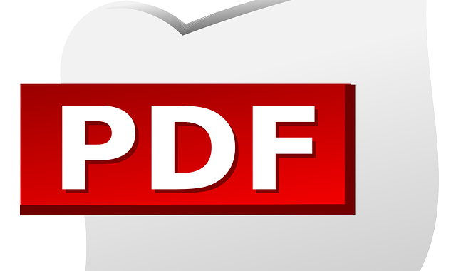 Easy And Convenient PDF to MS Word Conversion Process with PDFBear