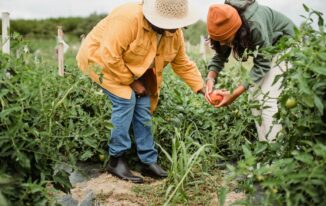 Agricultural Businesses