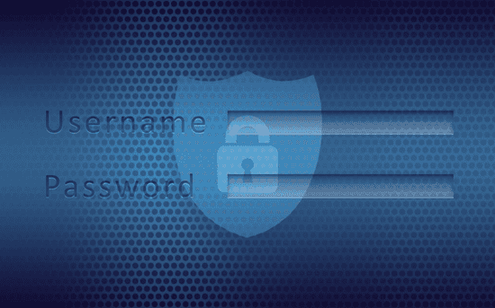 How Password Managers Protect Your Business Online